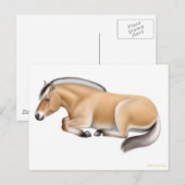 Fjord Horse bij Rest Briefkaart (Voorkant / Achterkant)