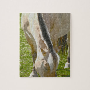 Fjord Paard Puzzel