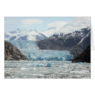 Fjord Tracy Arm