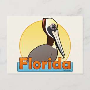 FL Brown Pelican Briefkaart