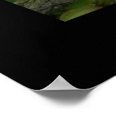 FL Hopper Poster (Hoek)