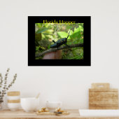 FL Hopper Poster (Keuken)