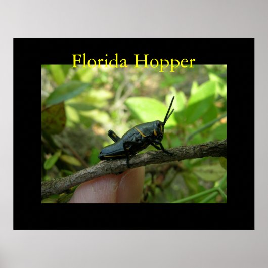 FL Hopper Poster (Voorkant)