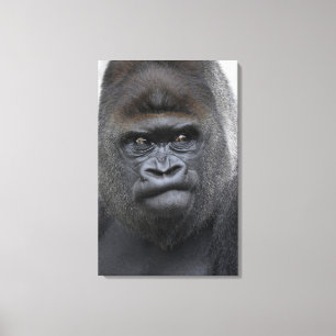 Flachland Gorilla Canvas Afdruk