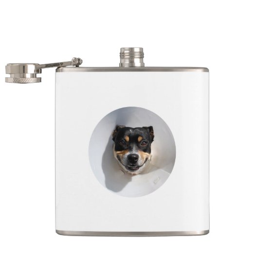 Flacon de chien souriant drôle (Ouvert)