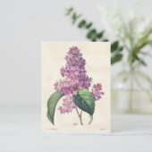  flacons van Bright Paarse Lilacs Briefkaart (Staand voorkant)