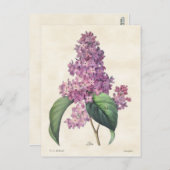  flacons van Bright Paarse Lilacs Briefkaart (Voorkant / Achterkant)