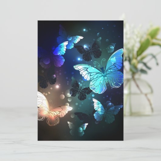 Fladderende Nachtvlinder Programma (Staand voorkant)