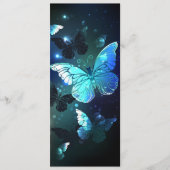 Fladderende Nachtvlinder Programma (Voorkant)