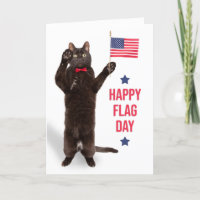 Flag Day Funny Black Cat Holding Flag