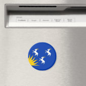 Flag of Merionethshire Magnet Magneet (Insitu (Vaatwasser))