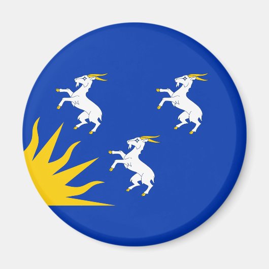 Flag of Merionethshire Magnet Magneet (Voorkant)