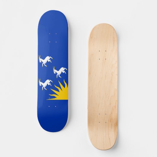 Flag of Merionethshire Skateboard (Recto)