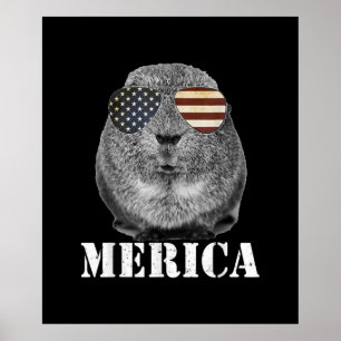 Flagbril van de Verenigde Staten Poster