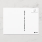 Flagler Beach Florida Shoreline Briefkaart (Achterkant)