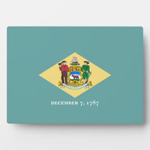 Flagontwerp van de Dell-staat Fotoplaat