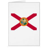 Flagontwerp van de staat Florida (Voorkant)