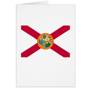 Flagontwerp van de staat Florida