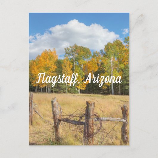 Flagstaff weide briefkaart (Voorkant)