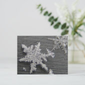 Flake de neige 45 ~ carte postale (Debout devant)