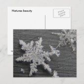 Flake de neige 45 ~ carte postale (Devant / Derrière)
