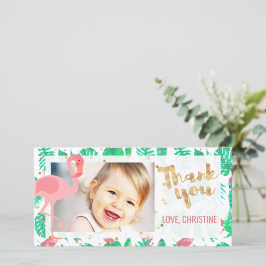 flamand rose tropicale merci (Debout devant)