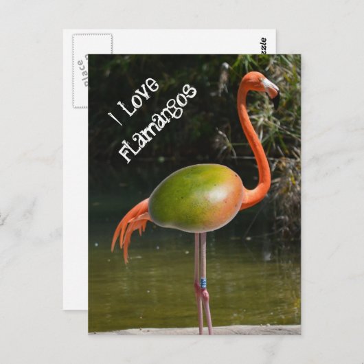 Flamango Briefkaart (Voorkant / Achterkant)