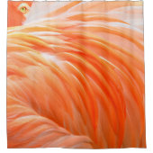 Flamant rose 1 Rideau de douche (Devant)