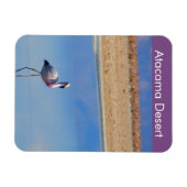 Flamant rose Atacama Désert Magnet flexible (Horizontal)