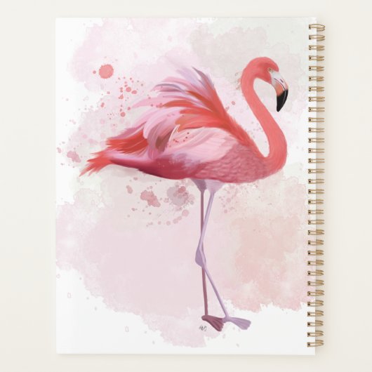 Flamant rose de bouffée (Dos)