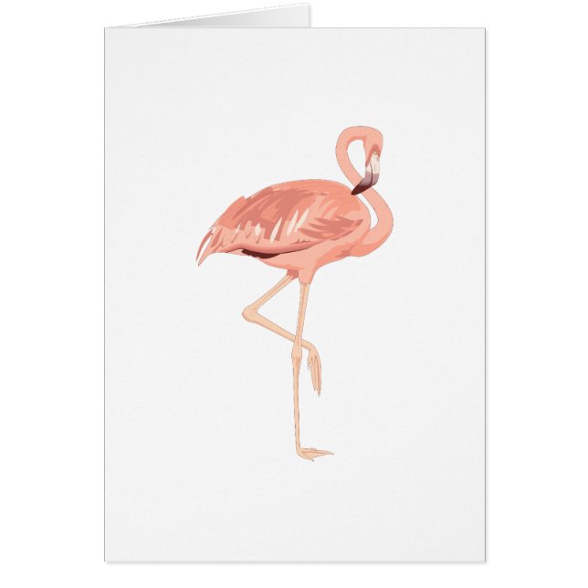Flamant rose de Freddy (Devant)