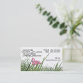 FLAMANT ROSE DE PELOUSE DANS LES CARTES DE VISITE (Debout devant)