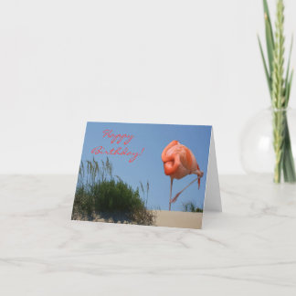 Flamant rose de plage Bonne carte d'anniversaire