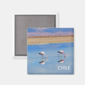 Flamant rose, Désert d'Atacama, Chili Magnet (Recto/Verso)