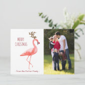 Flamant rose drôle de Rudolph de carte photo de (Debout devant)