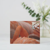 Flamant rose Fermer do-it-yourself carte postale (Debout devant)