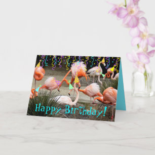 Flamant rose Fête Oiseaux Joyeux Carte Anniversair