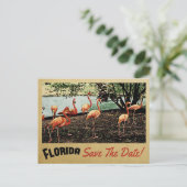 Flamant rose Florida Enregistrer La Date Cartes Po (Debout devant)