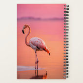 Flamant rose passer du temps avec Dieu Journal (Verso)