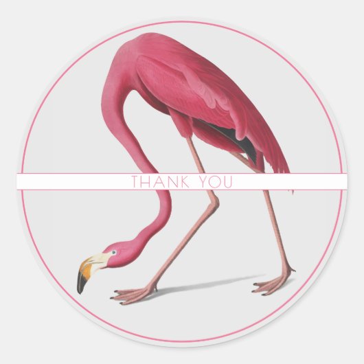 Flamant rose ROSE AUTOUR NOM PERSONNALISÉ STICKER (Devant)