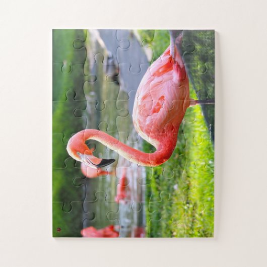 Flamant rose rose Floride. Jigsaw Puzzle (Vertical)