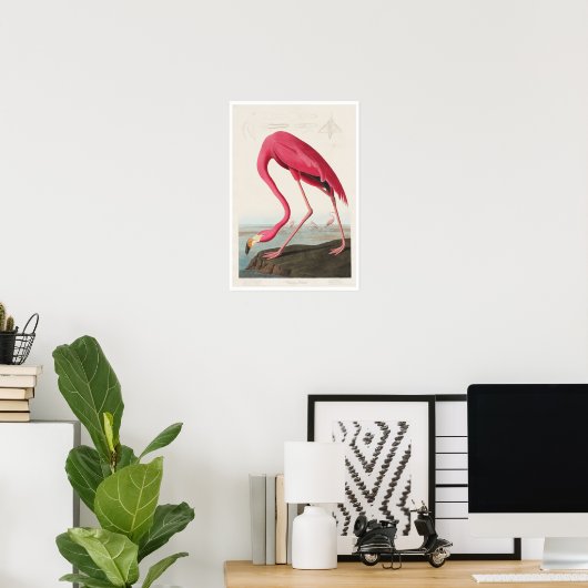 Flamant rose rose par Audubon Poster (Bureau à domicile)