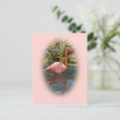 Flamant rose rose reflété dans la carte postale Ri (Debout devant)