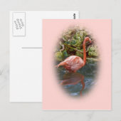 Flamant rose rose reflété dans la carte postale Ri (Devant / Derrière)