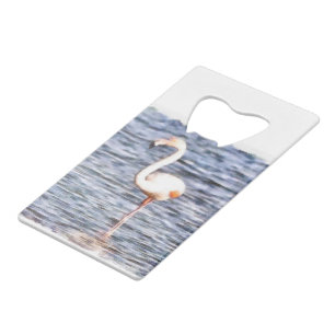 Flamant rose sauvage