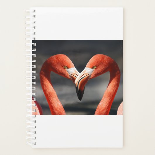Flamant rose Valentine (Devant)