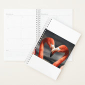 Flamant rose Valentine (Devant avec enveloppe)