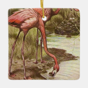 Flamant rose Vintage ornement d'illustration