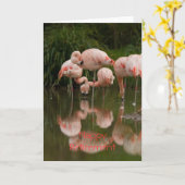 Flamants roses Bonne carte de retraite (Fleur jaune)