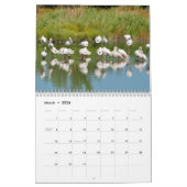 Flamants roses calendrier 12 mois (Mar 2026)
